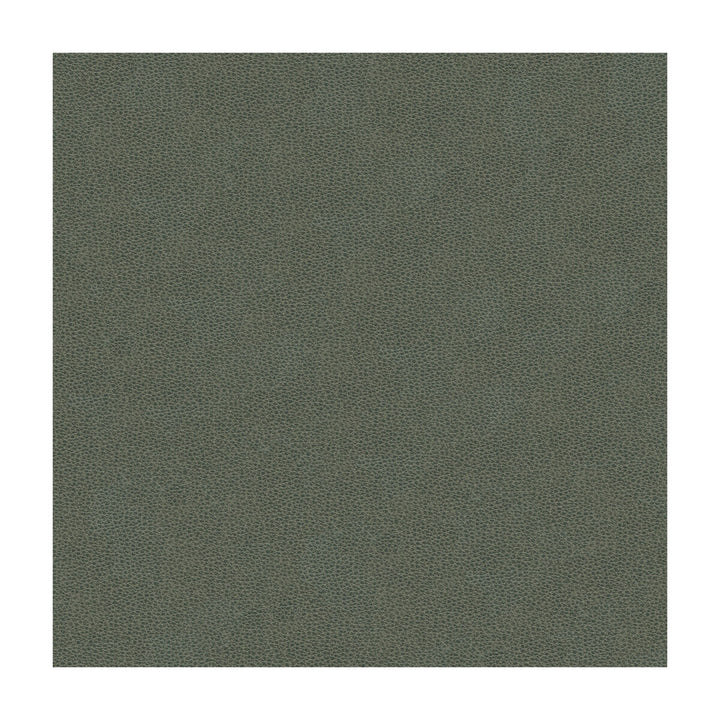 Volo-11 by Kravet Design Fabric ULTRALEATHER PLUS IV POLYURETHANE - 100% China HEAVY Horizontal: and Vertical: 54 - Fabric Carolina -