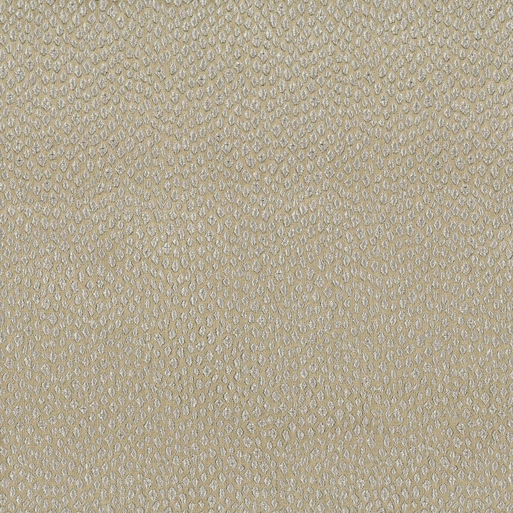 Voyager 2 Platinum by Stout Fabric COMFORTABLE LIVING SHADOW/CHARCOAL 100%POL INDIA </p><p>Repeat: 0 54 in - Fabric Carolina -