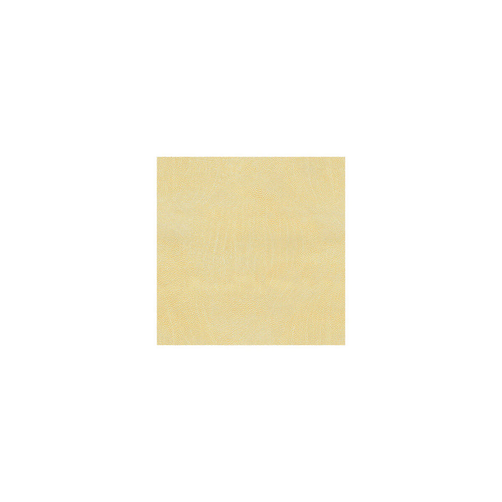 Voyager Ecru by Kravet Couture Fabric NYLON - 100% United States HEAVY Horizontal: 0 and Vertical: 0 54 - Fabric Carolina -