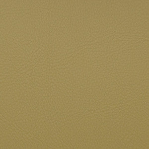 Voyager Aloe by Magnolia Fabric