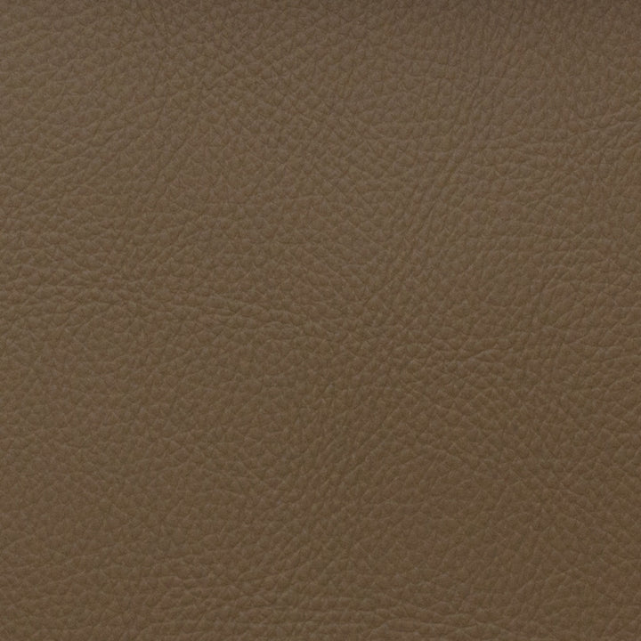 Voyager Bison by Magnolia Fabric - 100% Pvc China 100,000+ Horizontal: 0 and Vertical: 0 54" - Fabric Carolina -