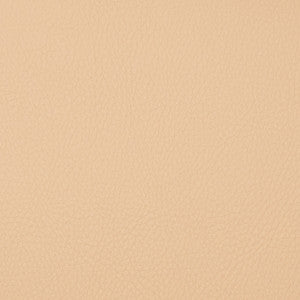 Voyager Chickpea by Magnolia Fabric