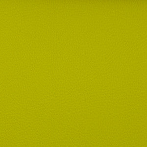 Voyager Key Lime by Magnolia Fabric