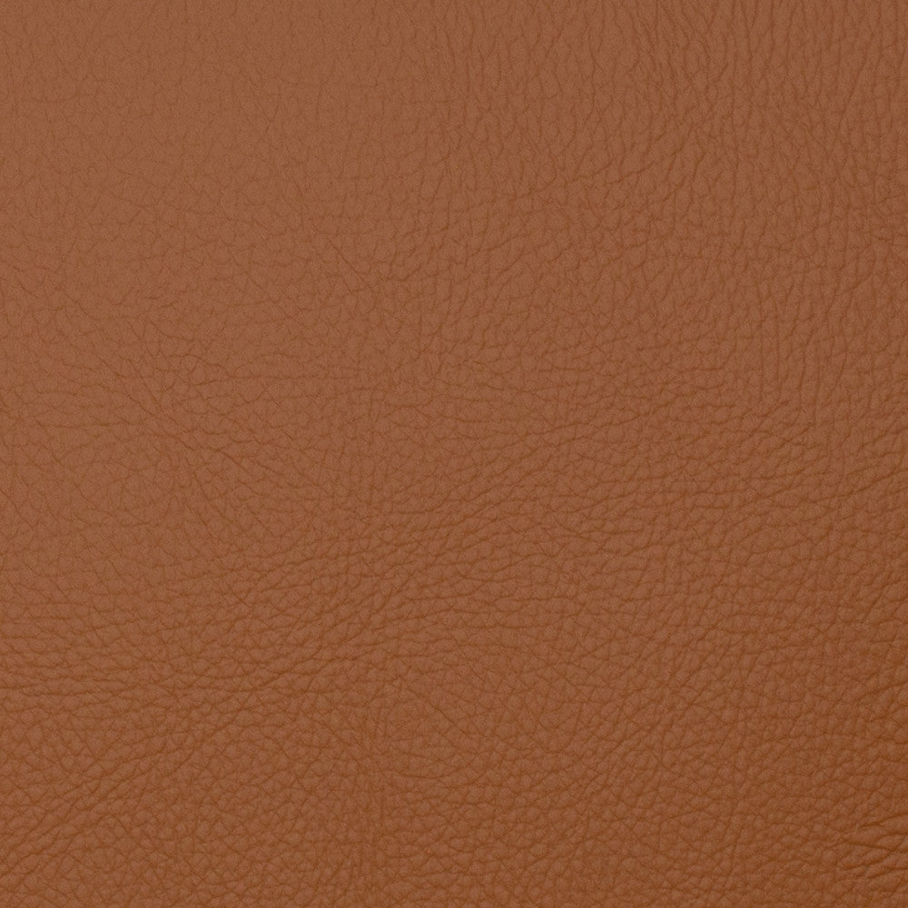 Voyager Maple by Magnolia Fabric - 100% Pvc China 100,000+ Horizontal: 0 and Vertical: 0 54" - Fabric Carolina -