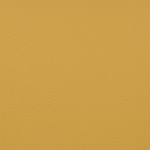 Voyager Toffee by Magnolia Fabric