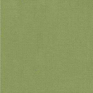 Voyage Parrot 308 by Norbar Fabric 100% COTTON 54" - Fabric Carolina -