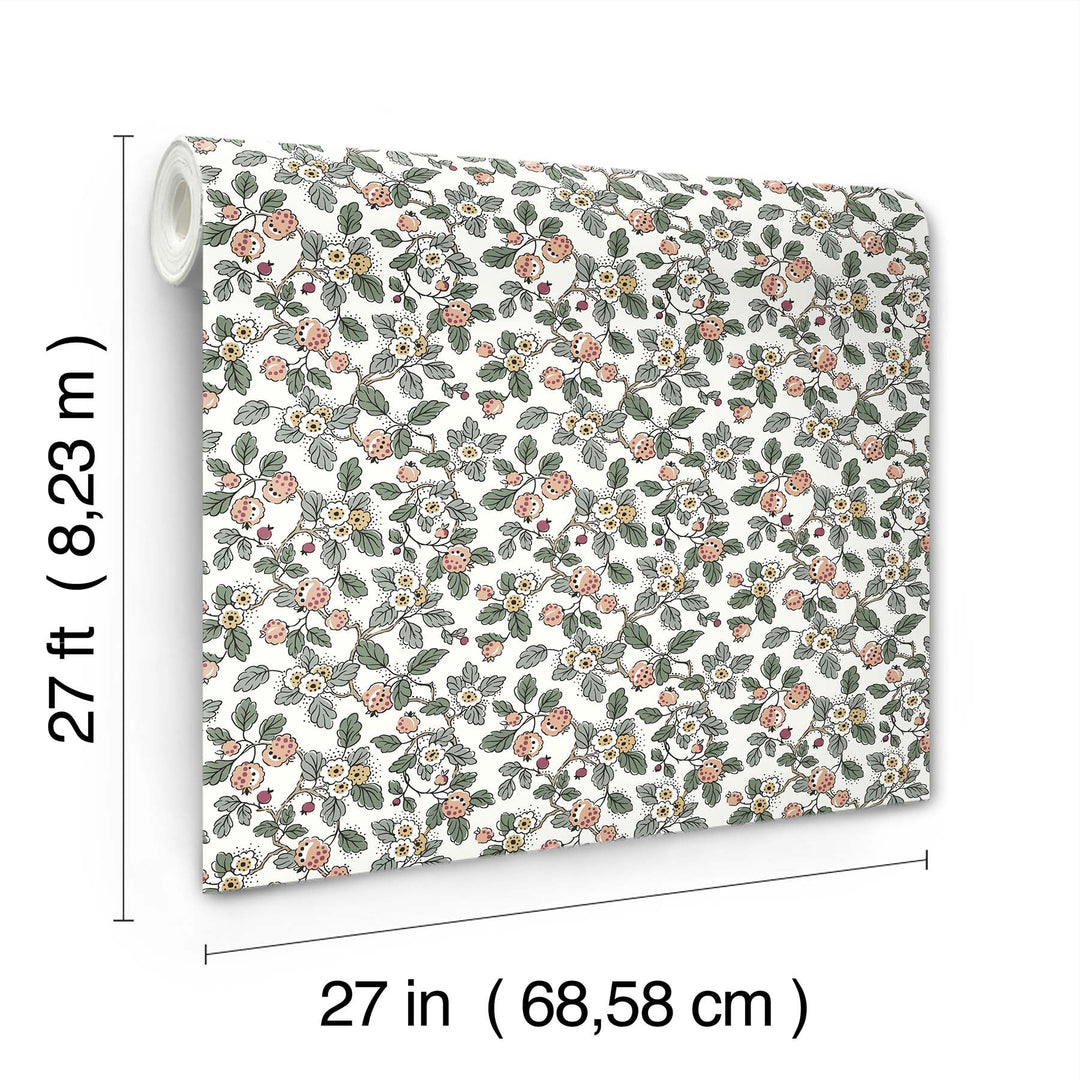 Framboise Blush Berry Vines Wallpaper by Antonina Vella Designer