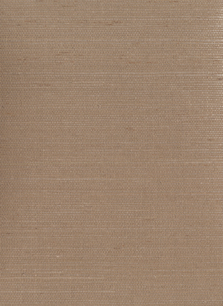 Sisal Twill Color Grasscloth Light Taupe Wallpaper by York Wallcoverings Grasscloth Resource Library Covers about 72 square feet 36-in by 24-ft long roll Unpasted 0 - Fabric Carolina -