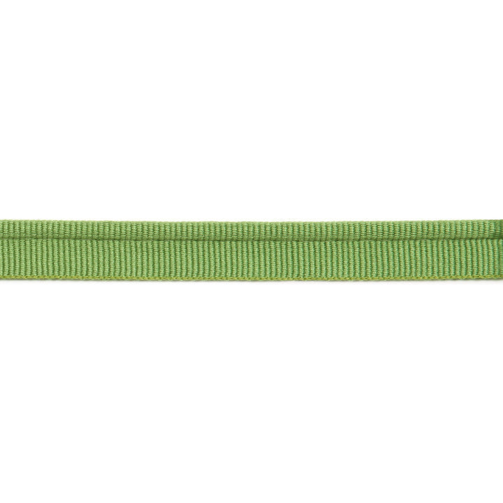 Versailles 1/4" Grosgrain Ribbon Lip Cord Lime by Europatex Fabric Versailles 64% Rayon, 34% Cotton, 2% Polyester 0.25 inches - Fabric Carolina -