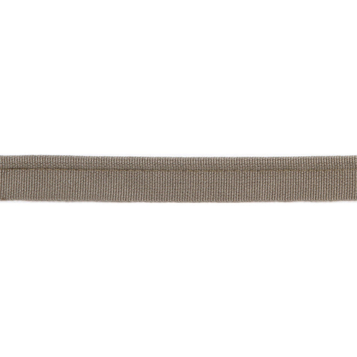 Versailles 1/4" Grosgrain Ribbon Lip Cord Pewter by Europatex Designer Fabric Versailles 64% Rayon, 34% Cotton, 2% Polyester 0.25 inches - Swanky Fabrics -