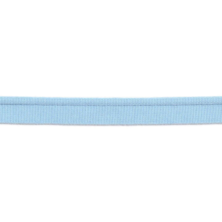 Versailles 1/4" Grosgrain Ribbon Lip Cord Sky by Europatex Fabric Versailles 64% Rayon, 34% Cotton, 2% Polyester 0.25 inches - Fabric Carolina -