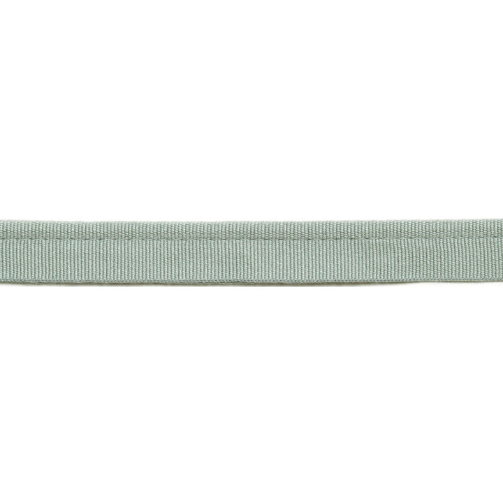 Versailles 1/4" Grosgrain Ribbon Lip Cord Soft Mineral by Europatex Fabric Versailles 64% Rayon, 34% Cotton, 2% Polyester 0.25 inches - Fabric Carolina -
