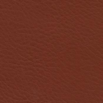 Verve Baked Clay EVE-004 by Nassimi Fabric See sample 100% Polyurethane USA or Imported Water-based cleaning agents and foam may be used for cleaning. Cleaning by a professional cleaning service is recommended. 54 - Fabric Carolina -