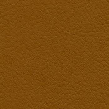Verve Caramel EVE-007 by Nassimi Fabric See sample 100% Polyurethane USA or Imported Water-based cleaning agents and foam may be used for cleaning. Cleaning by a professional cleaning service is recommended. 54 - Fabric Carolina -