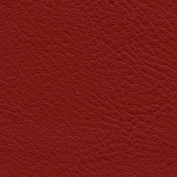 Verve Cranberry EVE-009 by Nassimi Fabric See sample 100% Polyurethane USA or Imported Water-based cleaning agents and foam may be used for cleaning. Cleaning by a professional cleaning service is recommended. 54 - Fabric Carolina -
