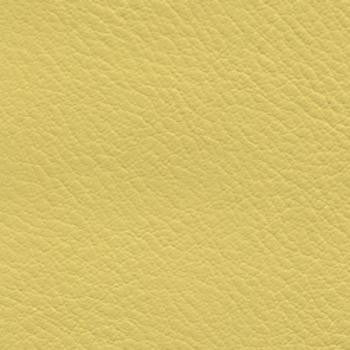 Verve Daffodil EVE-011 by Nassimi Fabric See sample 100% Polyurethane USA or Imported Water-based cleaning agents and foam may be used for cleaning. Cleaning by a professional cleaning service is recommended. 54 - Fabric Carolina -