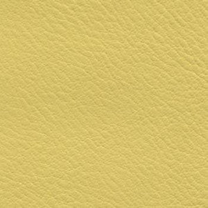 Verve Daffodil EVE-011 by Nassimi Fabric