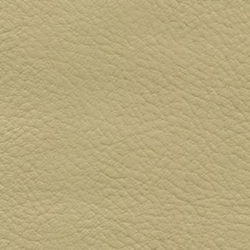 Verve Ecru by Nassimi Fabric See sample 100% Polyurethane 250000 Horizontal: Not Applicable and Vertical: Not Applicable 54" - Fabric Carolina -