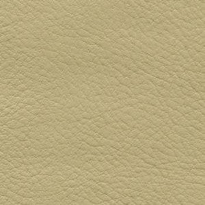 Verve Ecru by Nassimi Fabric