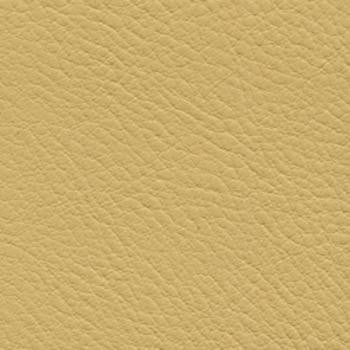 Verve Harvest EVE-016 by Nassimi Fabric See sample 100% Polyurethane USA or Imported Water-based cleaning agents and foam may be used for cleaning. Cleaning by a professional cleaning service is recommended. </p><p>Repeat: Horizontal: and Vertical: 54" - Fabric Carolina -