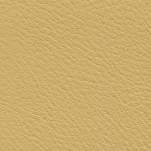 Verve Harvest by Nassimi Fabric