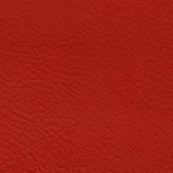 Verve Hibiscus EVE-017 by Nassimi Fabric See sample 100% Polyurethane USA or Imported Water-based cleaning agents and foam may be used for cleaning. Cleaning by a professional cleaning service is recommended. 54 - Fabric Carolina -