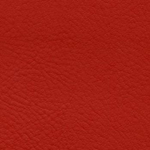 Verve Hibiscus by Nassimi Fabric