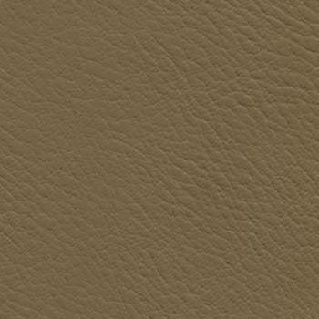 Verve Mink EVE-020 by Nassimi Fabric See sample 100% Polyurethane USA or Imported Water-based cleaning agents and foam may be used for cleaning. Cleaning by a professional cleaning service is recommended. </p><p>Repeat: Horizontal: and Vertical: 54" - Fabric Carolina -