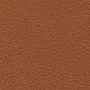 Verve Mustang by Nassimi Fabric