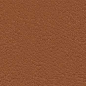 Verve Mustang by Nassimi Fabric See sample 100% Polyurethane 250000 Horizontal: Not Applicable and Vertical: Not Applicable 54" - Fabric Carolina -