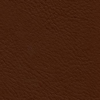 Verve Nutmeg EVE-024 by Nassimi Fabric See sample 100% Polyurethane USA or Imported Water-based cleaning agents and foam may be used for cleaning. Cleaning by a professional cleaning service is recommended. 54 - Fabric Carolina -