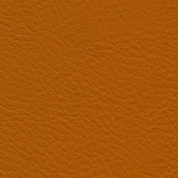 Verve Papaya EVE-025 by Nassimi Fabric See sample 100% Polyurethane USA or Imported Water-based cleaning agents and foam may be used for cleaning. Cleaning by a professional cleaning service is recommended. </p><p>Repeat: Horizontal: and Vertical: 54" - Fabric Carolina -