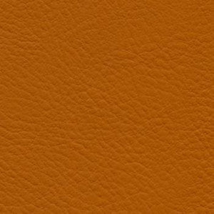 Verve Papaya by Nassimi Fabric
