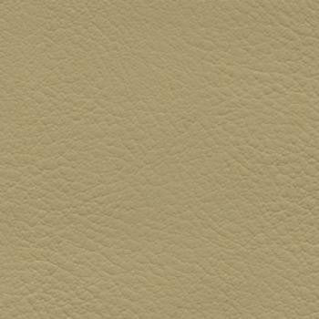 Verve Straw EVE-035 by Nassimi Fabric See sample 100% Polyurethane USA or Imported Water-based cleaning agents and foam may be used for cleaning. Cleaning by a professional cleaning service is recommended. </p><p>Repeat: Horizontal: and Vertical: 54" - Fabric Carolina -