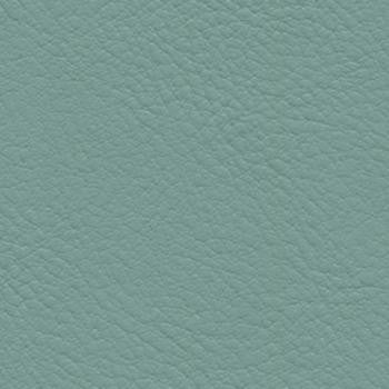 Verve Surf EVE-037 by Nassimi Fabric See sample 100% Polyurethane USA or Imported Water-based cleaning agents and foam may be used for cleaning. Cleaning by a professional cleaning service is recommended. </p><p>Repeat: Horizontal: and Vertical: 54" - Fabric Carolina -