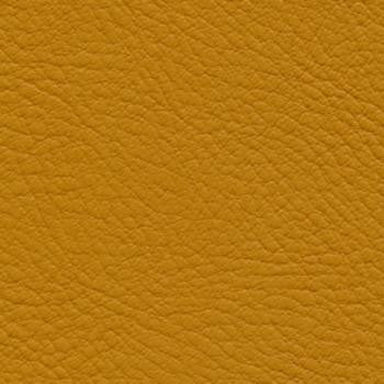 Verve Tumeric EVE-039 by Nassimi Fabric See sample 100% Polyurethane USA or Imported Water-based cleaning agents and foam may be used for cleaning. Cleaning by a professional cleaning service is recommended. 54 - Fabric Carolina -