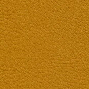 Verve Tumeric by Nassimi Fabric