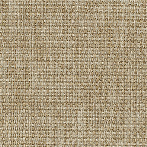 Viewpoint Burlap by Crypton Fabric