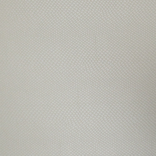 Arietids - Oyster by Europatex Fabric Vinyl Library 55% PVC, 40% Polyester, 5% Polyurethane China See Sample Horizontal: N/A and Vertical: N/A 54.00 inches  - Fabric Carolina -