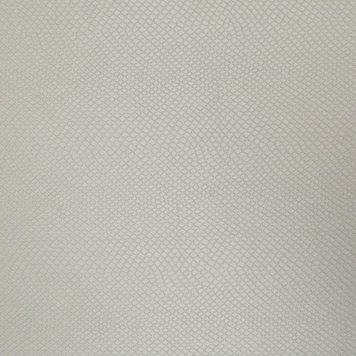 Vinyl Library Arietids Oyster by Europatex Fabric Vinyl Library 40% Polyester, 55% pvc, 5% PU 55.00 inches - Fabric Carolina -