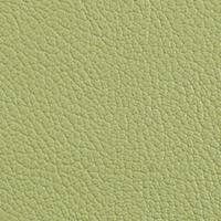 Vista Chervil VIS-25 by Omnova Fabric See sample 100% Vinyl USA or Imported Water-based cleaning agents and foam may be used for cleaning. Cleaning by a professional cleaning service is recommended. 54 - Fabric Carolina -