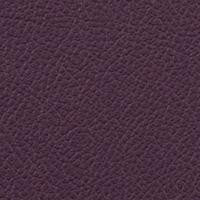 Vista Empire by Omnova Fabric See sample 100% Vinyl 100000 Horizontal: Not Applicable and Vertical: Not Applicable 54" - Fabric Carolina -