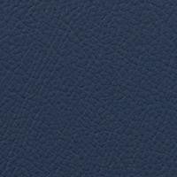 Vista Huron by Omnova Fabric See sample 100% Vinyl 100000 Horizontal: Not Applicable and Vertical: Not Applicable 54" - Fabric Carolina -