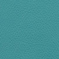 Vista Juniper VIS-30 by Omnova Fabric See sample 100% Vinyl USA or Imported Water-based cleaning agents and foam may be used for cleaning. Cleaning by a professional cleaning service is recommended. 54 - Fabric Carolina -