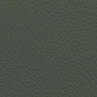 Vista Kelp VIS-43 by Omnova Fabric See sample 100% Vinyl USA or Imported Water-based cleaning agents and foam may be used for cleaning. Cleaning by a professional cleaning service is recommended. 54 - Fabric Carolina -