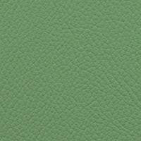 Vista Key Lime by Omnova Fabric