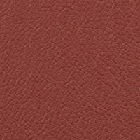 Vista Sienna VIS-39 by Omnova Fabric See sample 100% Vinyl USA or Imported Water-based cleaning agents and foam may be used for cleaning. Cleaning by a professional cleaning service is recommended. </p><p>Repeat: Horizontal: and Vertical: 54" - Fabric Carolina -