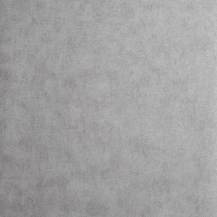 Chinchilla Mercury by Clarke And Clarke Wallcovering Clarke And Clarke Wallcovering Chinchilla MercuryWallcovering CLARKE & CLARKE REFLECTIONS WOOD PULP - 74%;BINDER - 13%;POLYESTER - 13% United Kingdom </p><p>Repeat: H: 20.875, V: 0 20.875 - Fabric Carolina -