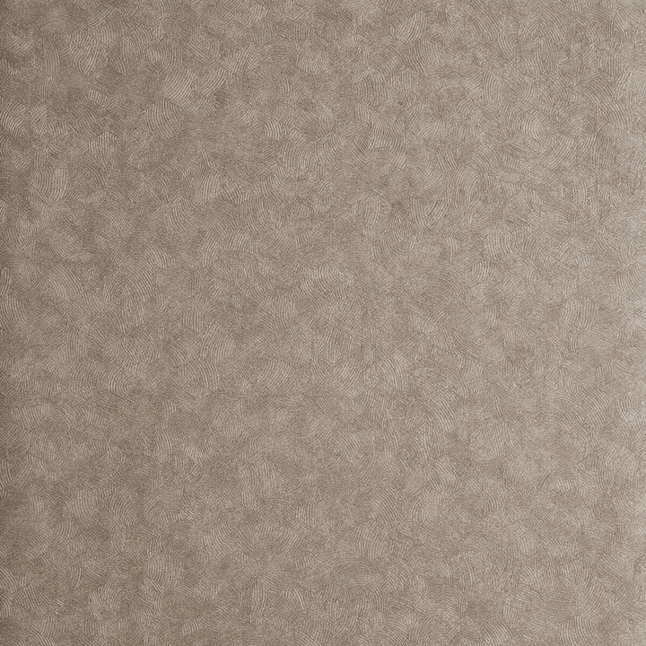Hexagon Antique by Clarke And Clarke Wallcovering CLARKE & CLARKE REFLECTIONS WOOD PULP - 74%;BINDER - 13%;POLYESTER - 13% United Kingdom - Horizontal: 20.875 and Vertical: 0 20.875 - Fabric Carolina -