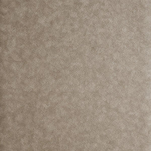 Hexagon Antique by Clarke And Clarke Wallcovering